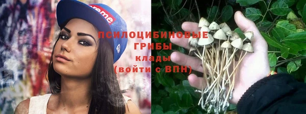 спайс Абинск
