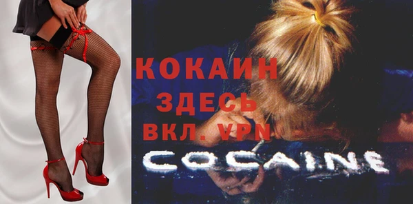стаф Осташков
